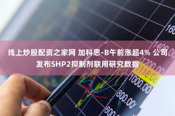 线上炒股配资之家网 加科思-B午前涨超4% 公司发布SHP2抑制剂联用研究数据