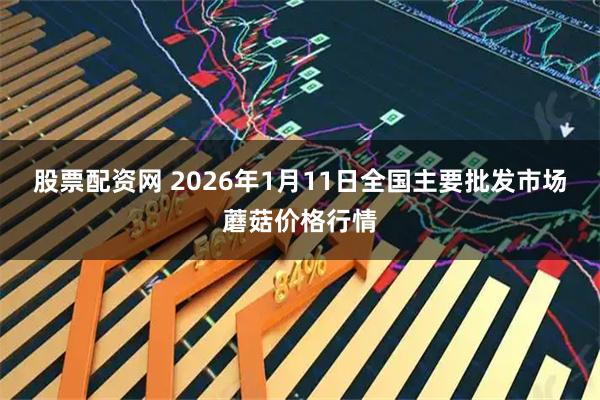 股票配资网 2026年1月11日全国主要批发市场蘑菇价格行情